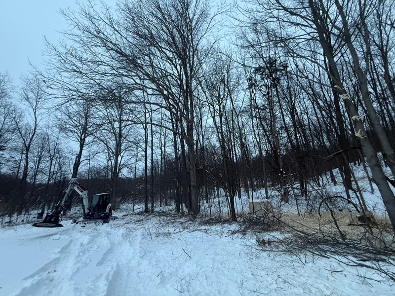 Land Clearing & Demolition