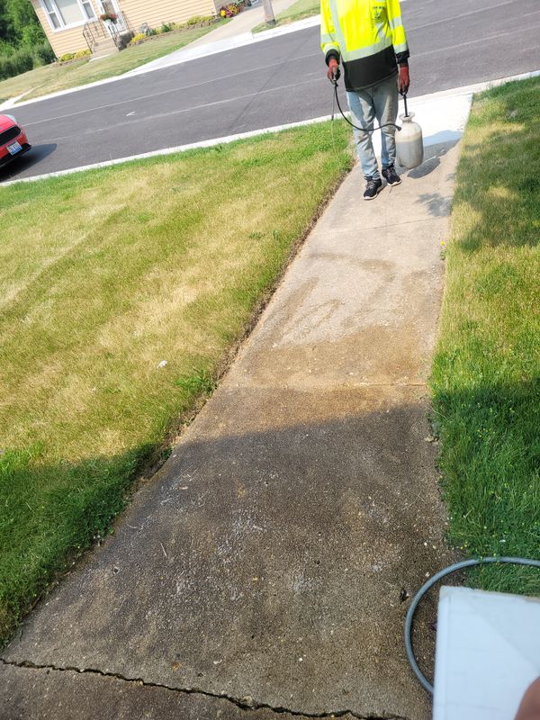 Pressure Washing