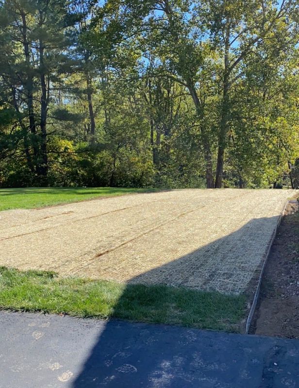 Brush Clearing / Land Leveling