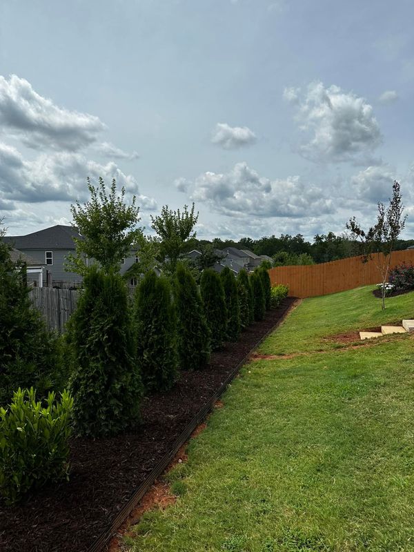 Mulch Installation