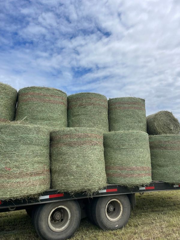 Hauling Services