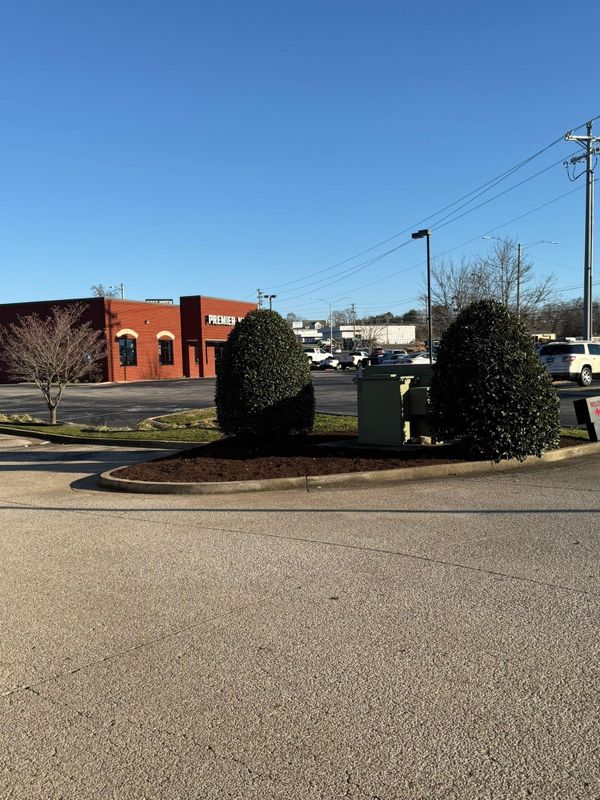 Mulch Installation
