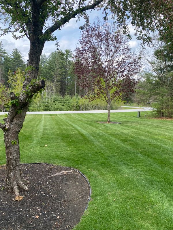 Mowing