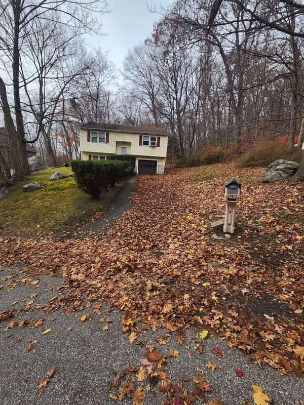 Fall Cleanups