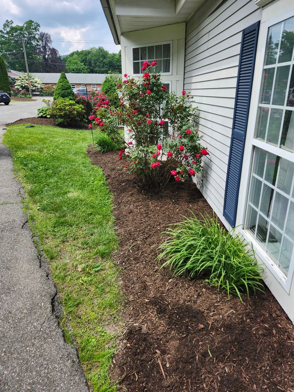 Muclhing & Weeding