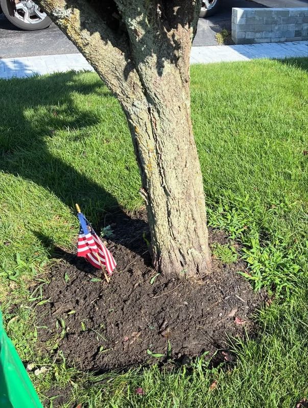 Lawn Maintenance