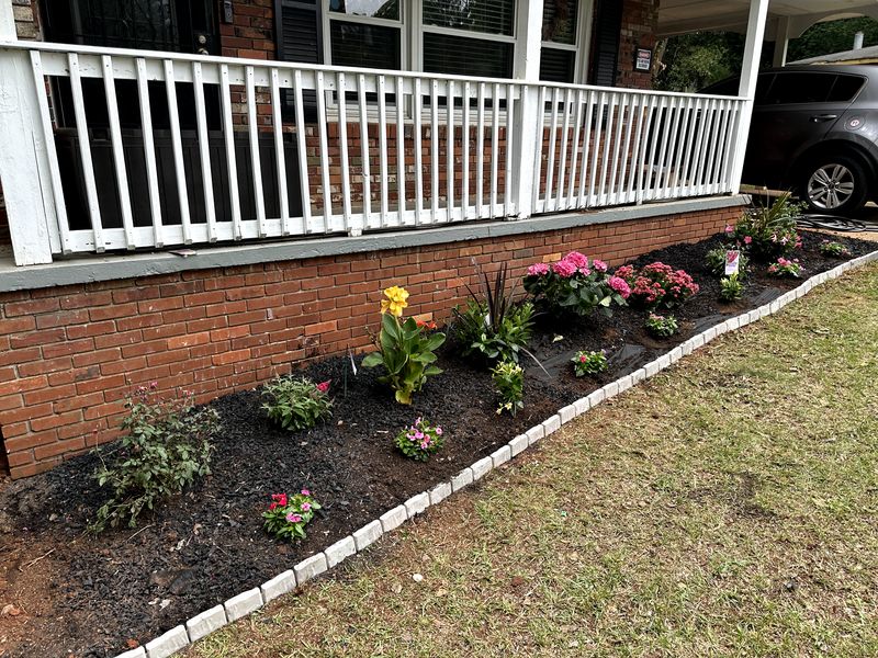 Landscape Design & Installation