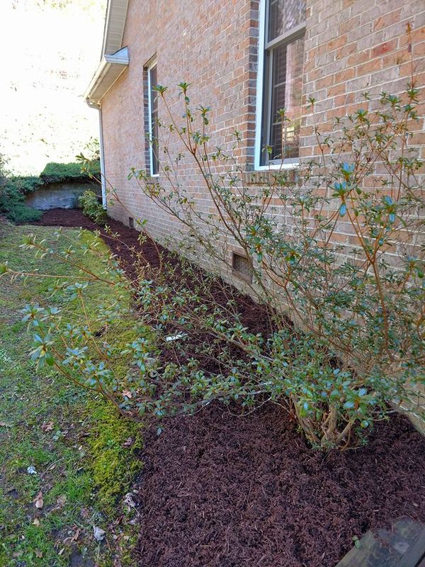 Mulch Installation