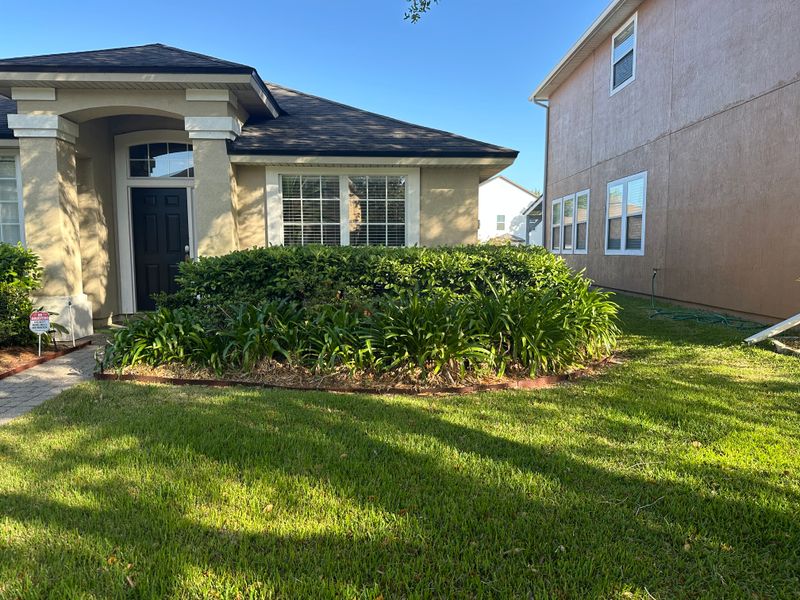 Shrub Trimming