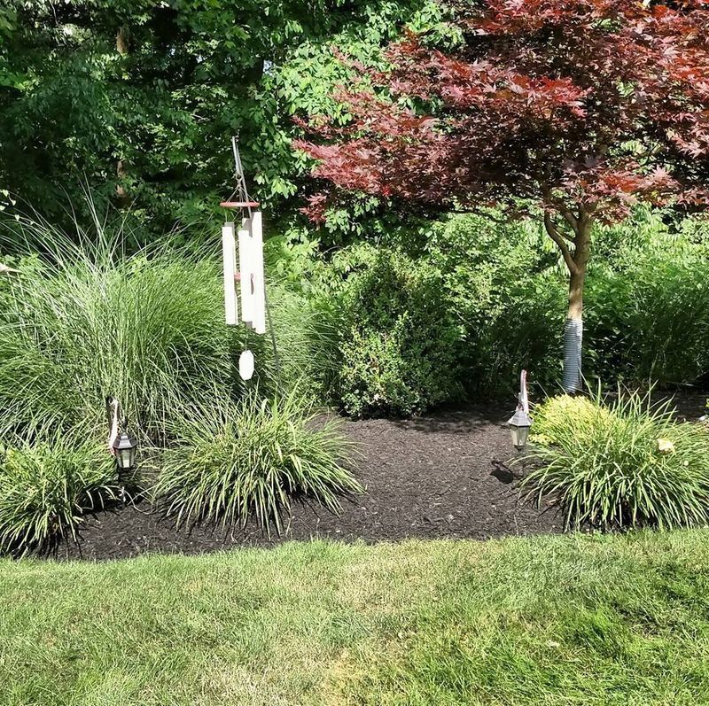 Mulch Installation