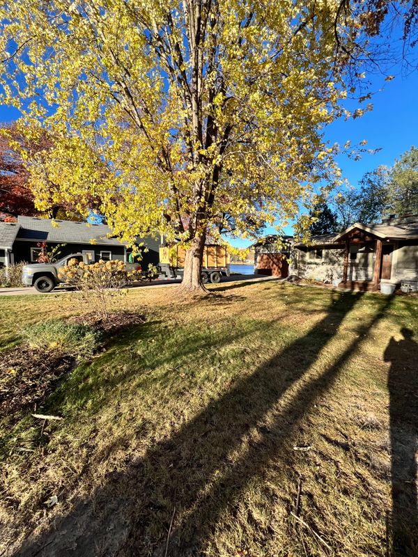 Yard Clean Up