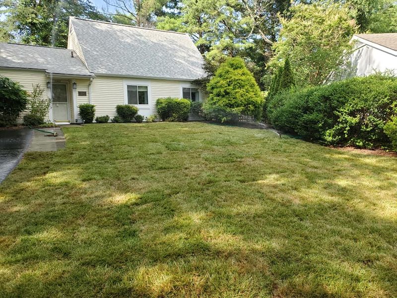 Shrub Trimming