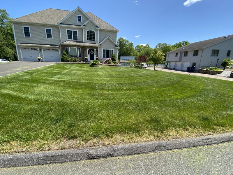 Lawn & Turf Maintenance 