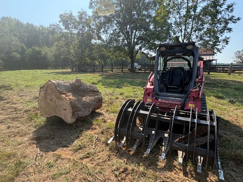 Tree Removal