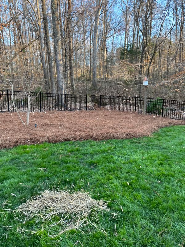 Pine Needle Installation
