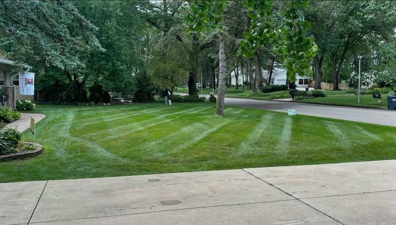 Lawn Mowing