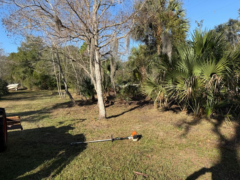 Land Clearing