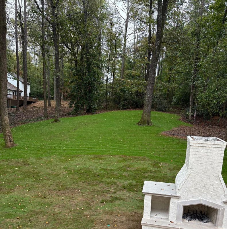 Hydroseeding gallery