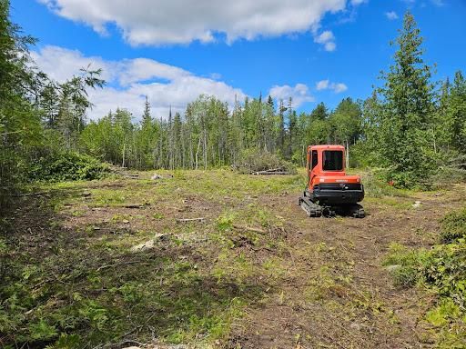 Lot Clearing