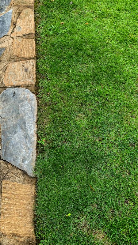 Lawn Mowing