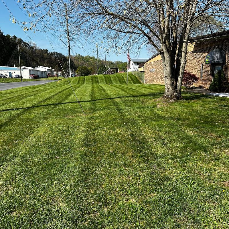 Lawn Maintenance
