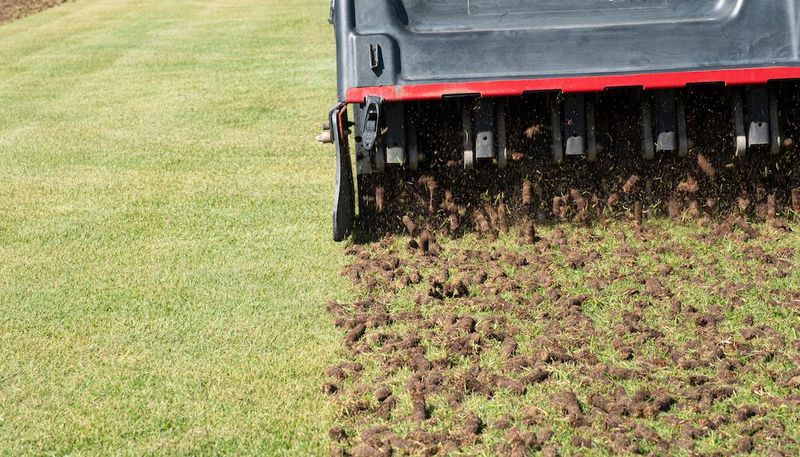 Lawn Aeration