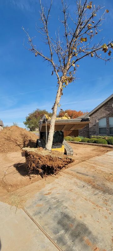 Plant & Tree Installation