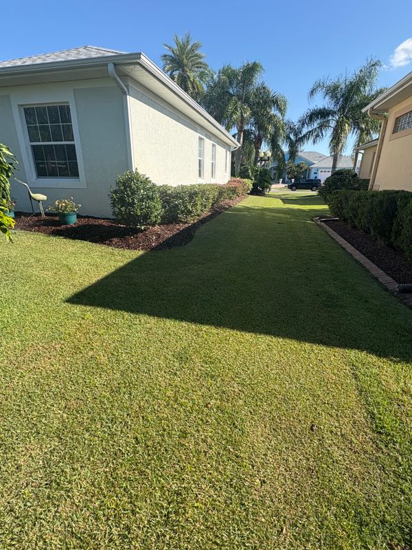 Lawn Maintenance