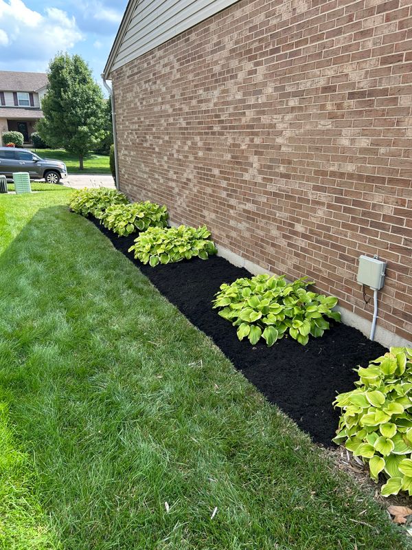 Our Landscaping