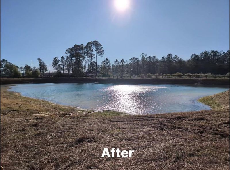 Pond And Lake Clean Up