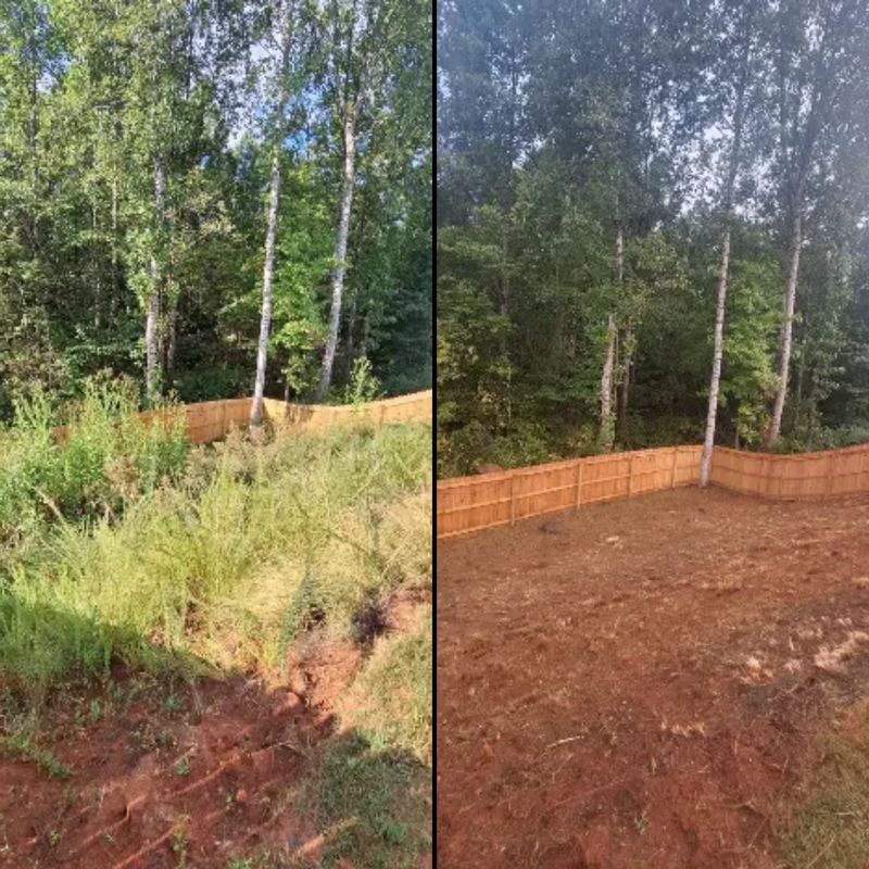 Brush Clearing