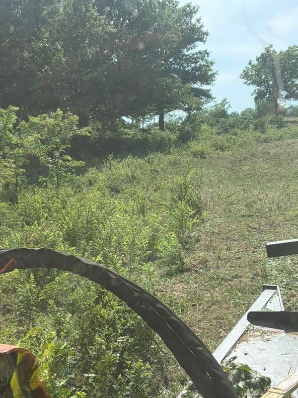 Brush Hogging