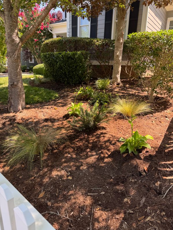 Planting