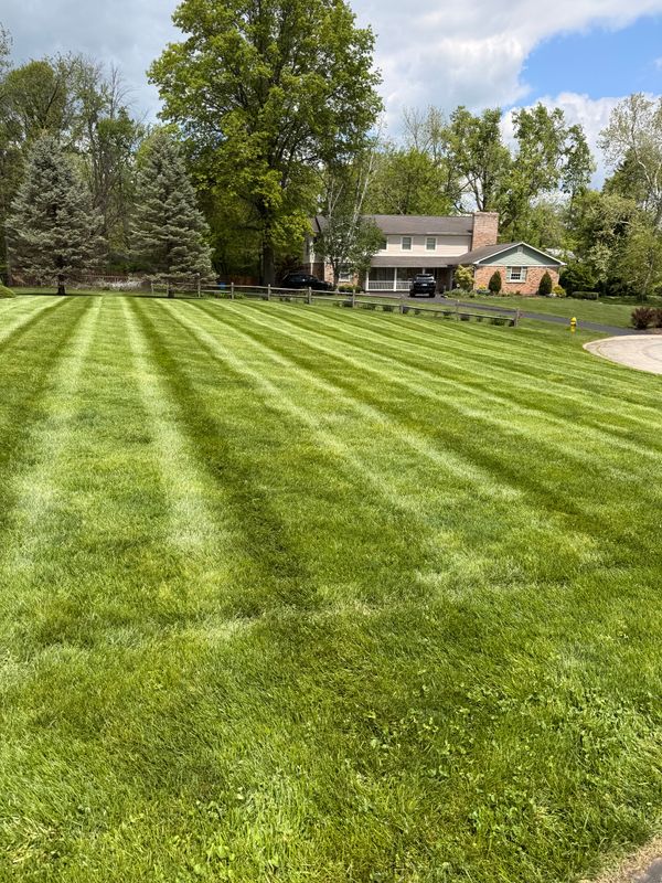 Lawn Care and Maintenance