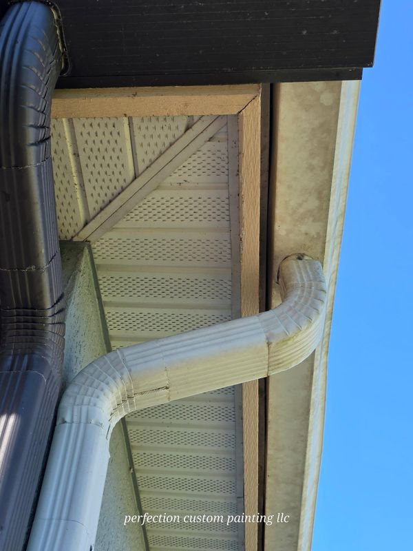 Gutter cleaning