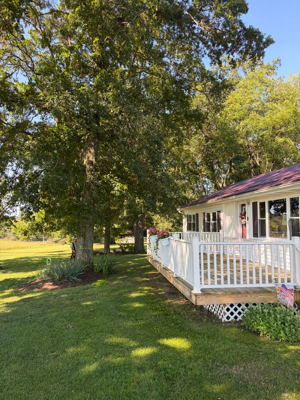 Deck Construction