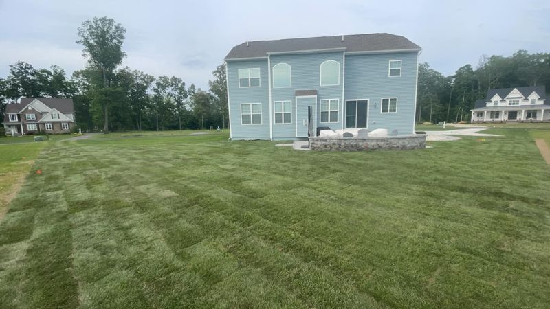 Hydro-seeding and sod installation