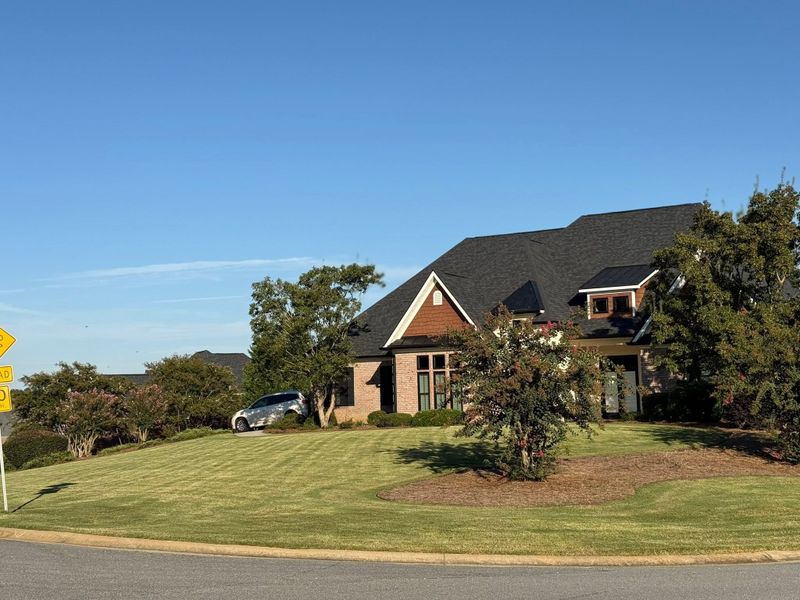 Tree & Shrub Care