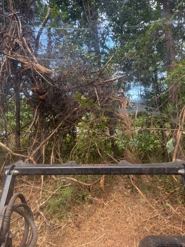 Land Clearing Photos
