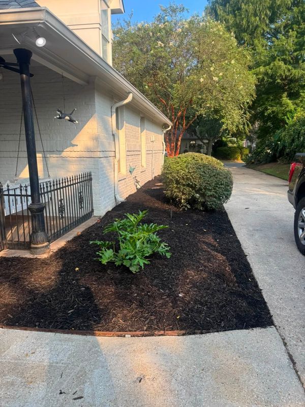 Landscape Design & Installation