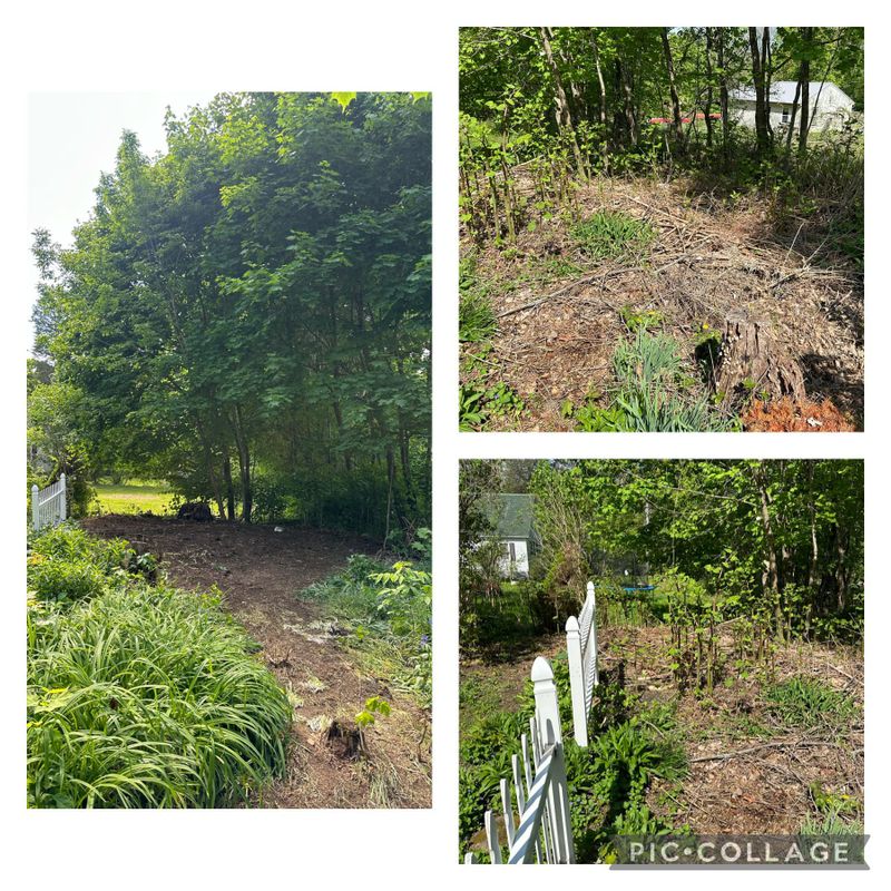 Landscaping gallery