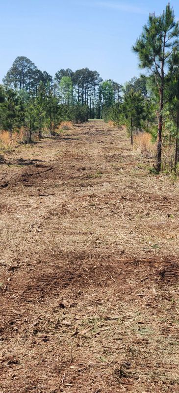 Hunting Land Management