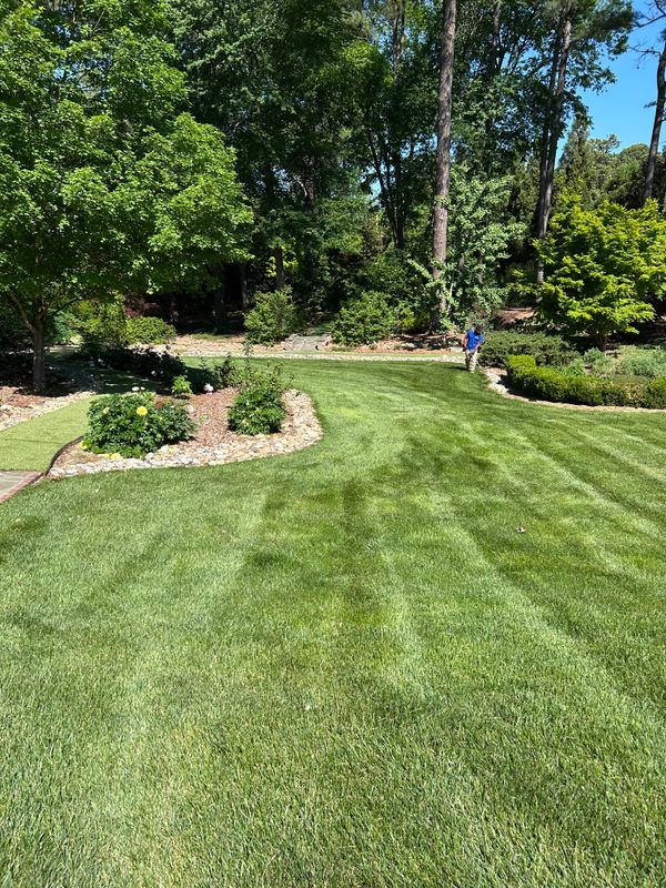 Lawn Maintenance