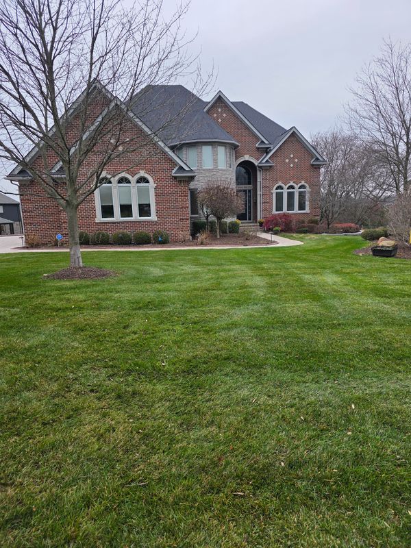 Flower bed Maintenance