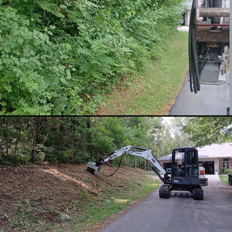 Forestry Mulching