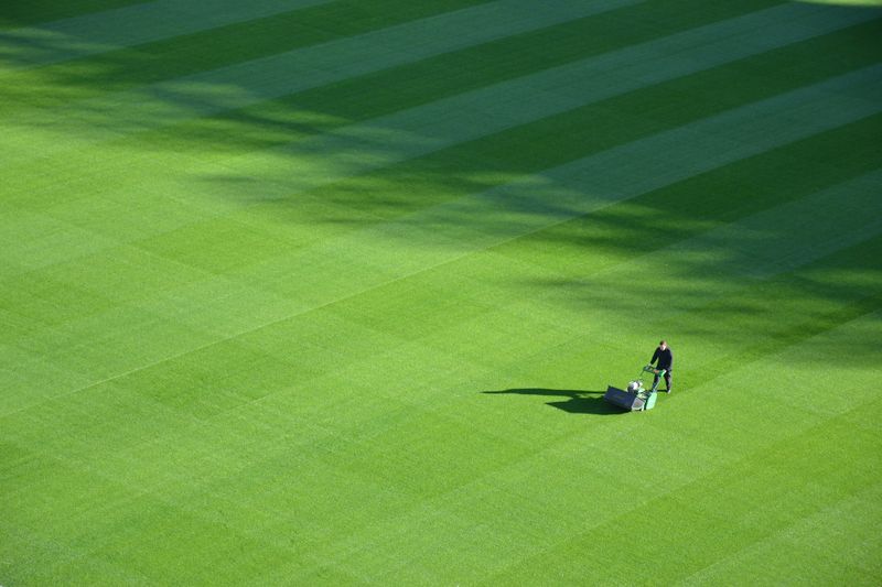 Lawn Maintenance