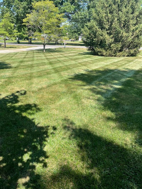 Lawn Maintenance