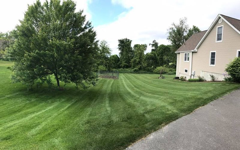 Mulch Installation