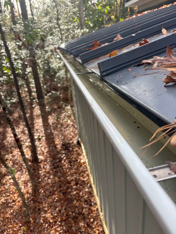 Gutter Cleaning