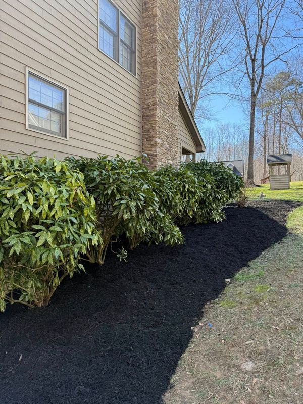 Shrub Trimming